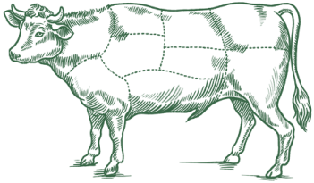 Illustration eines Rinds mit eingezeichneten Teilstücken.